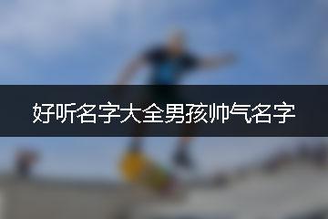 形容男生帅的成语