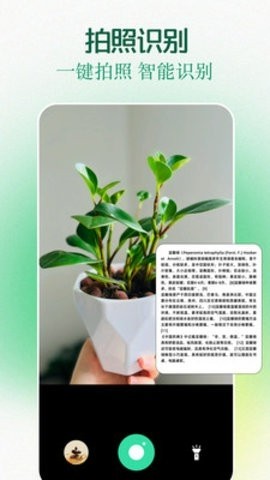 clashapp工具箱
