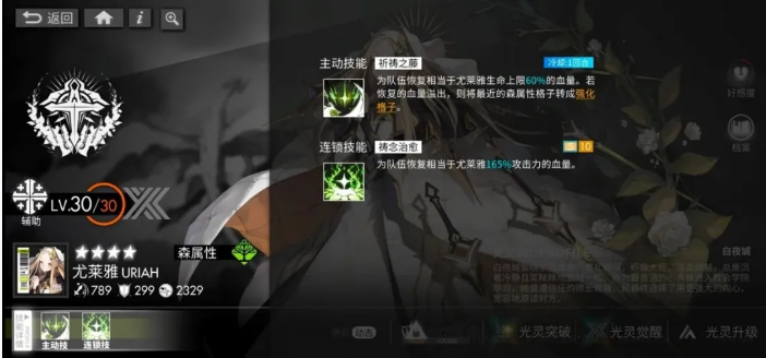 白夜极光 一周年庆典版本