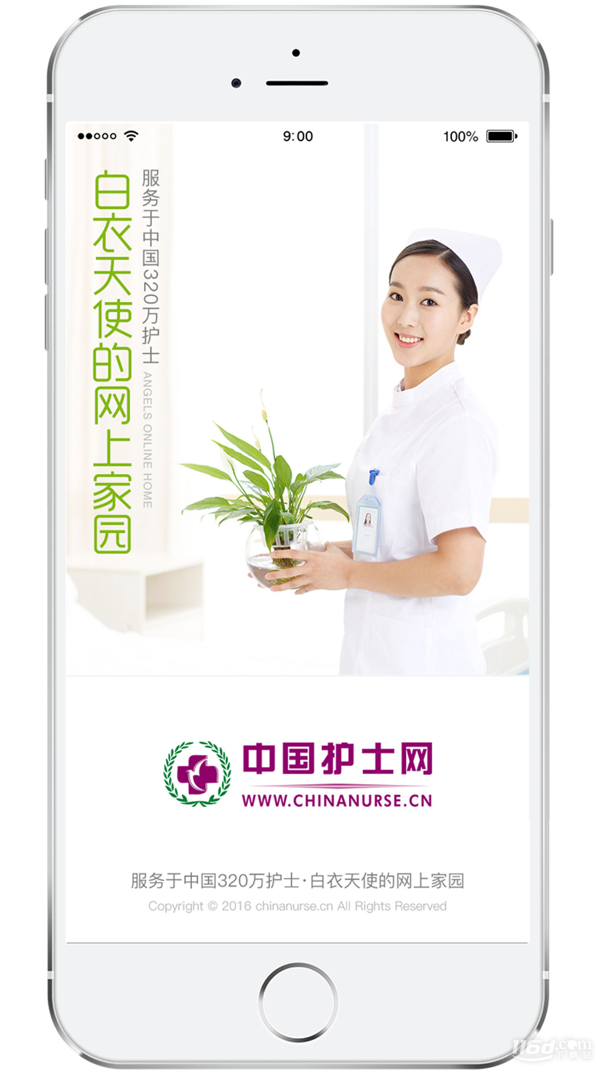 中国护士网