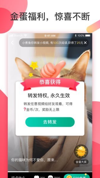 桃花岛视频 2