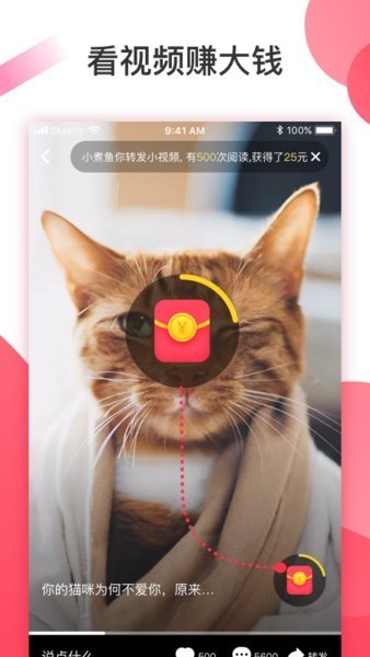 桃花岛视频 1