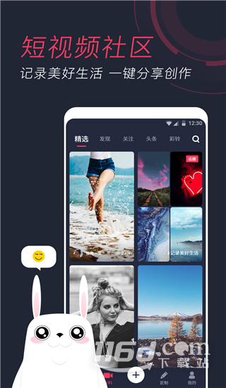 羞兔动态壁纸