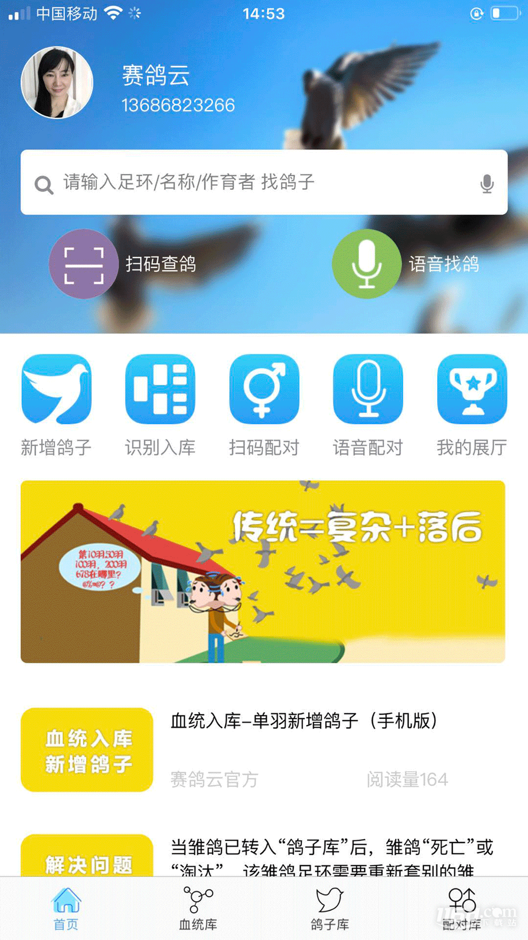 赛鸽云