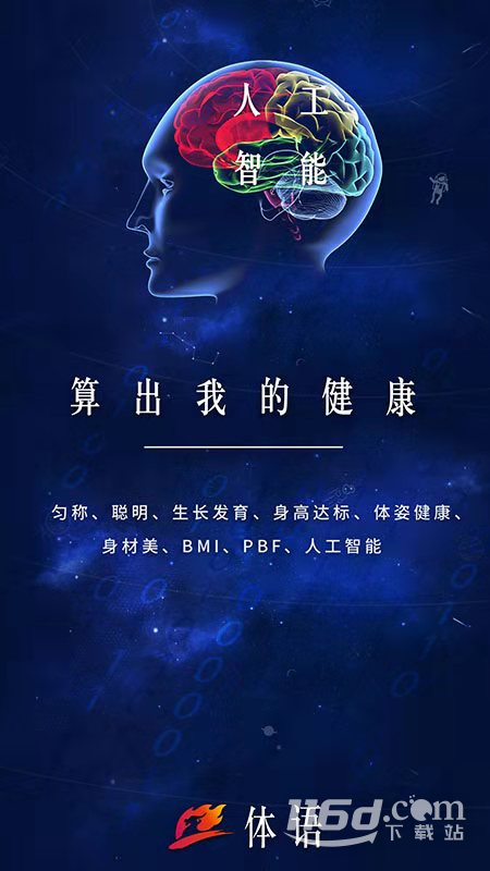 体语