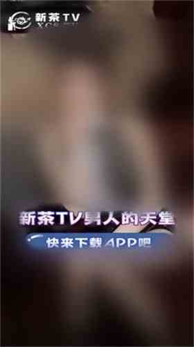 新茶直播2021