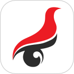 学信网 v2.5.13